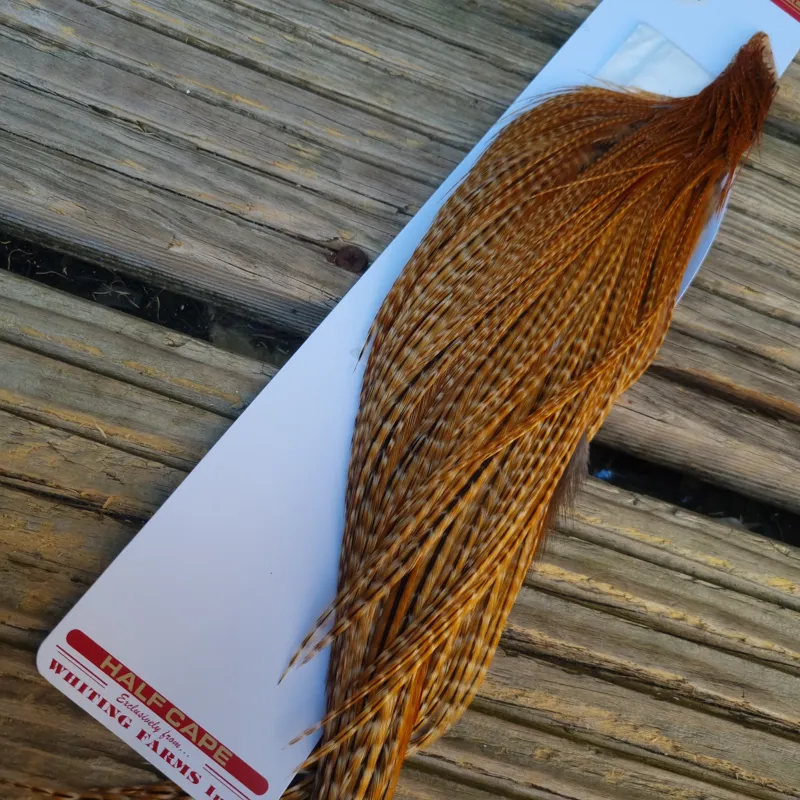 Whiting 1/2 Pro-Grade Dry Fly Rooster Cape in Barred Dark Ginger-1